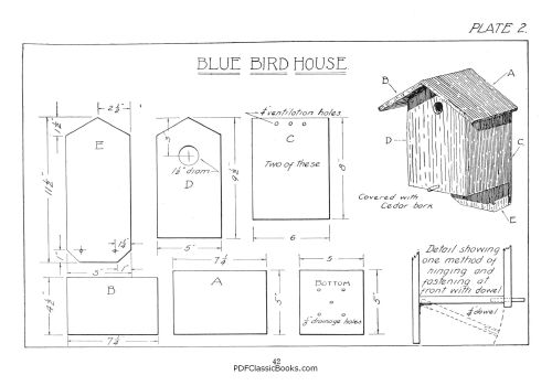 Build Bird House Plans