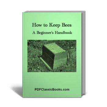 How to Keep Bees: A Beginner's Handbook